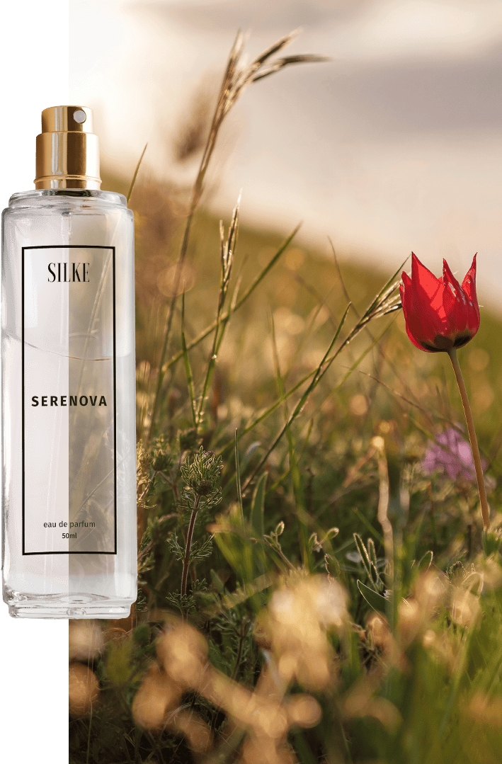 Serenova | Eau de Parfum